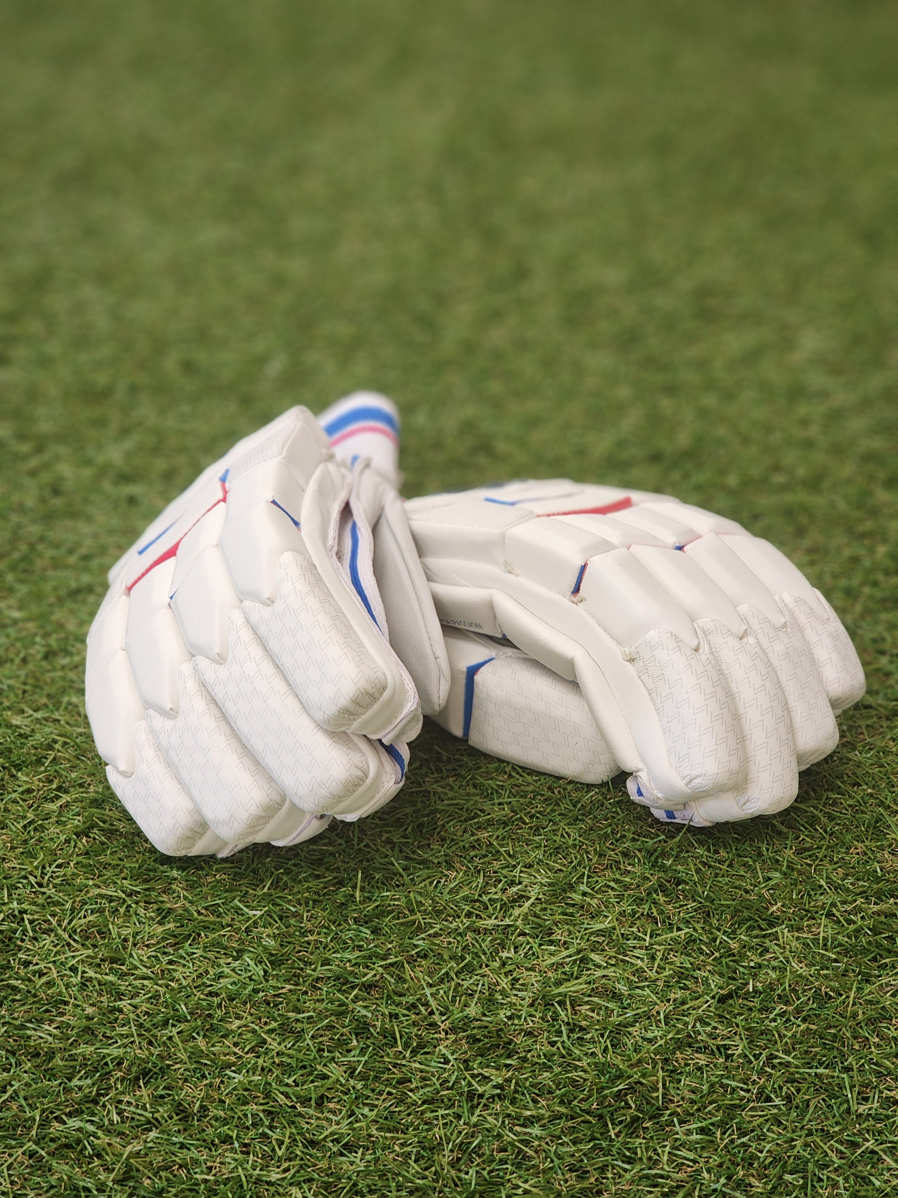 DSC PASSION BATTING GLOVES - MENS - SportsHQ