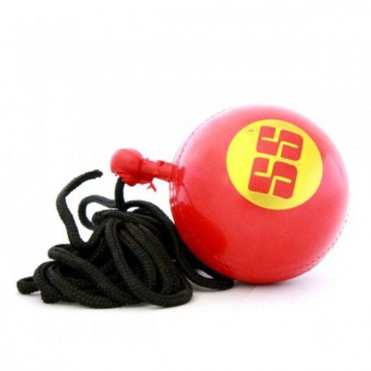 SS Cricket Batting Practice Hanging Ball - SportsHQ
