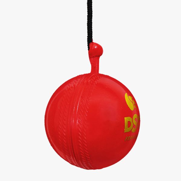 DSC Cricket Batting Practice Hanging Ball