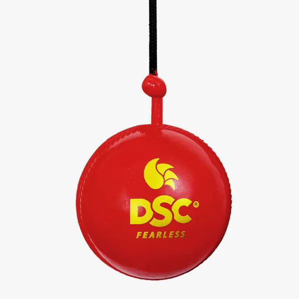 DSC Cricket Batting Practice Hanging Ball