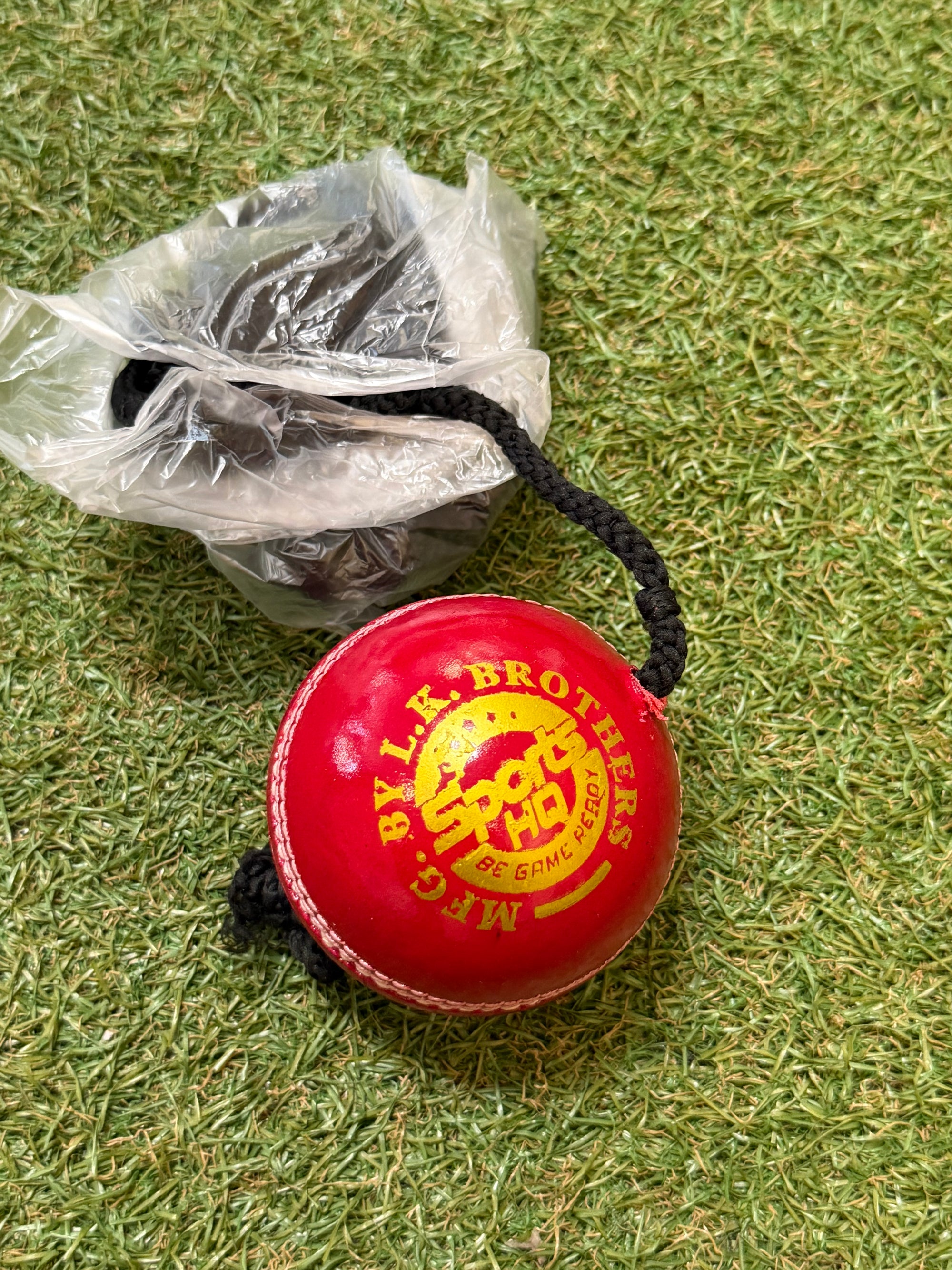 SHQ Cricket Batting Practice Hanging Ball - SportsHQ