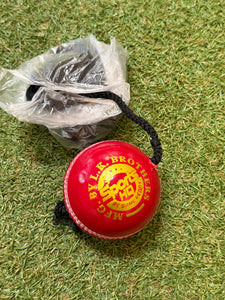 SHQ Cricket Batting Practice Hanging Ball - SportsHQ