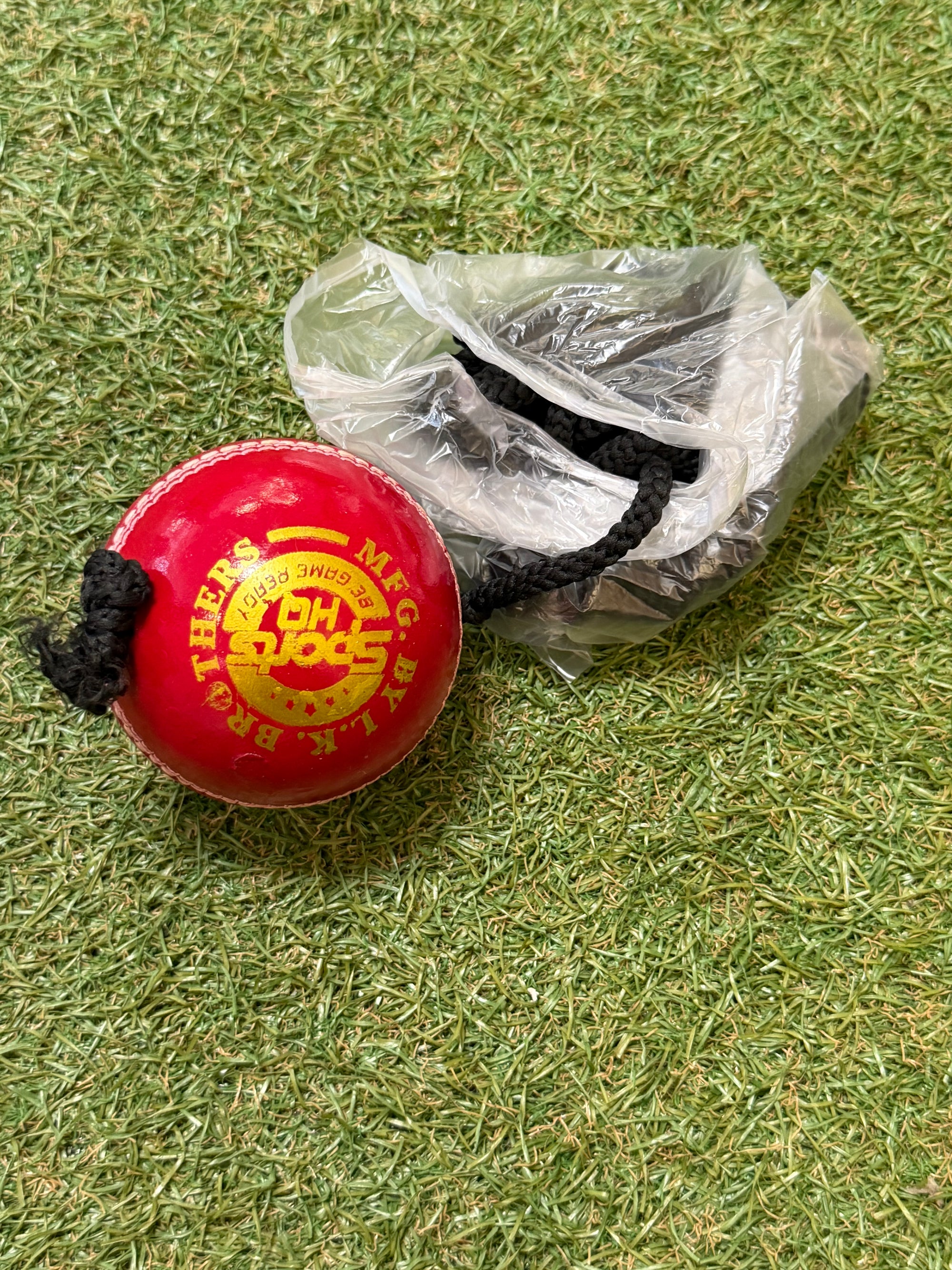 SHQ Cricket Batting Practice Hanging Ball - SportsHQ