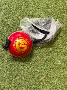 SHQ Cricket Batting Practice Hanging Ball - SportsHQ