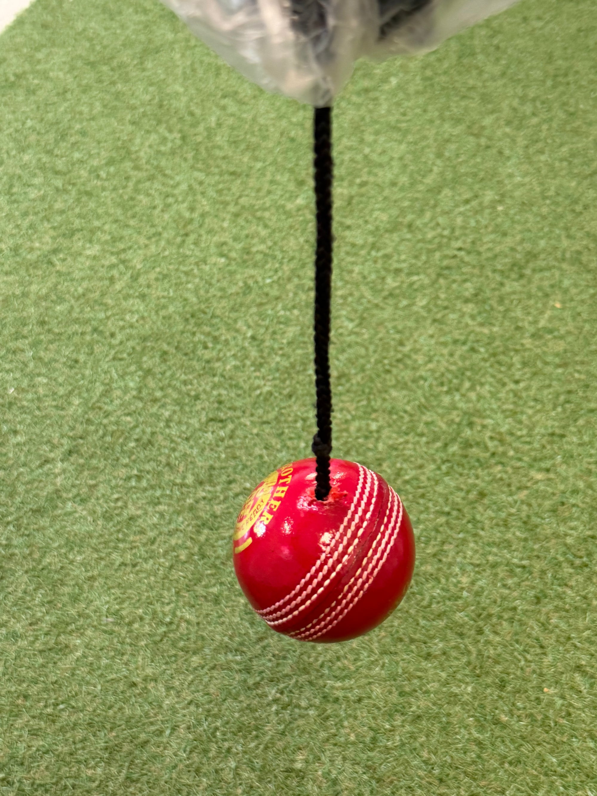 SHQ Cricket Batting Practice Hanging Ball - SportsHQ