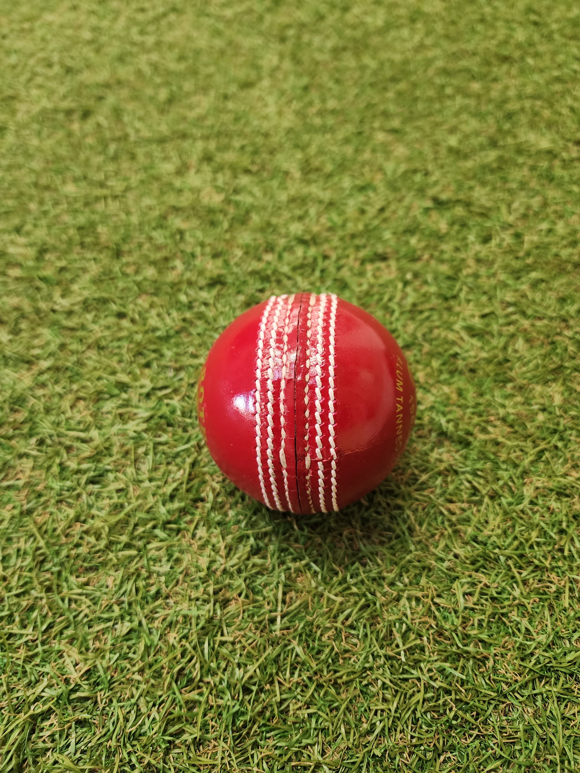 SHQ Club  Leather Cricket Ball – 4 Piece – 156gm – Red