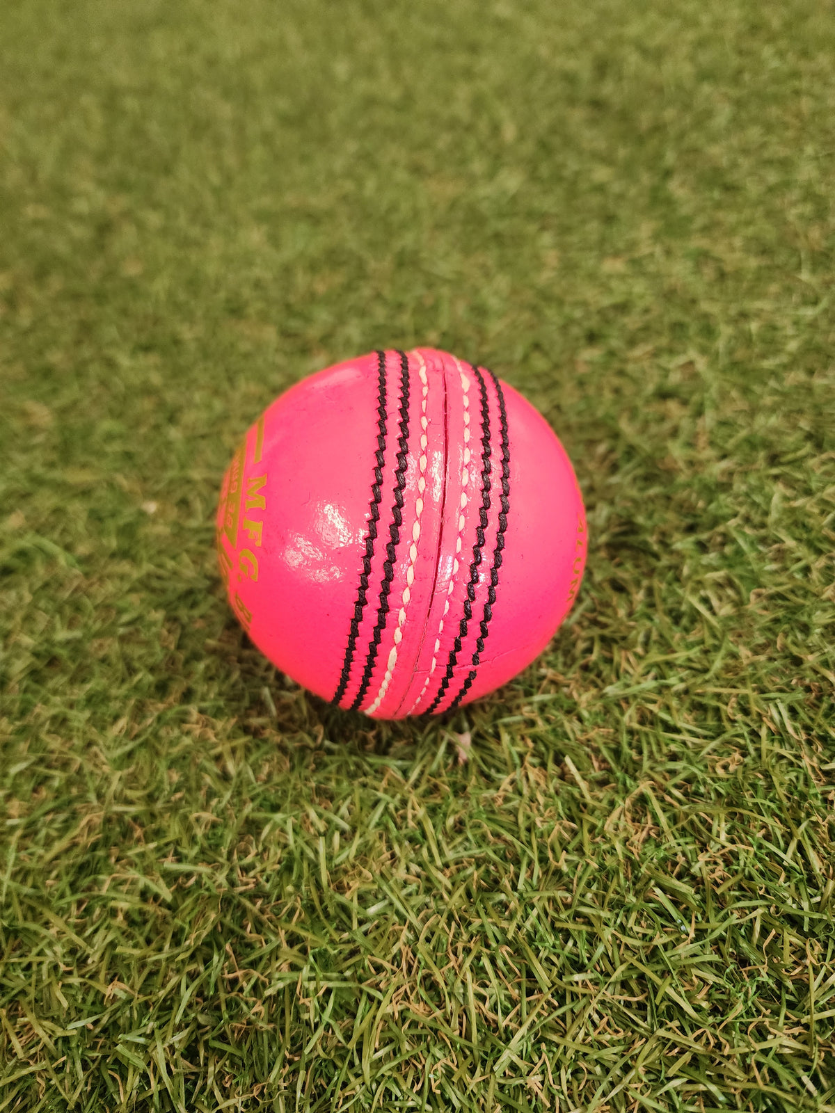 SHQ T-20  Leather Cricket Ball – 4 Piece – 156gm – Pink - SportsHQ