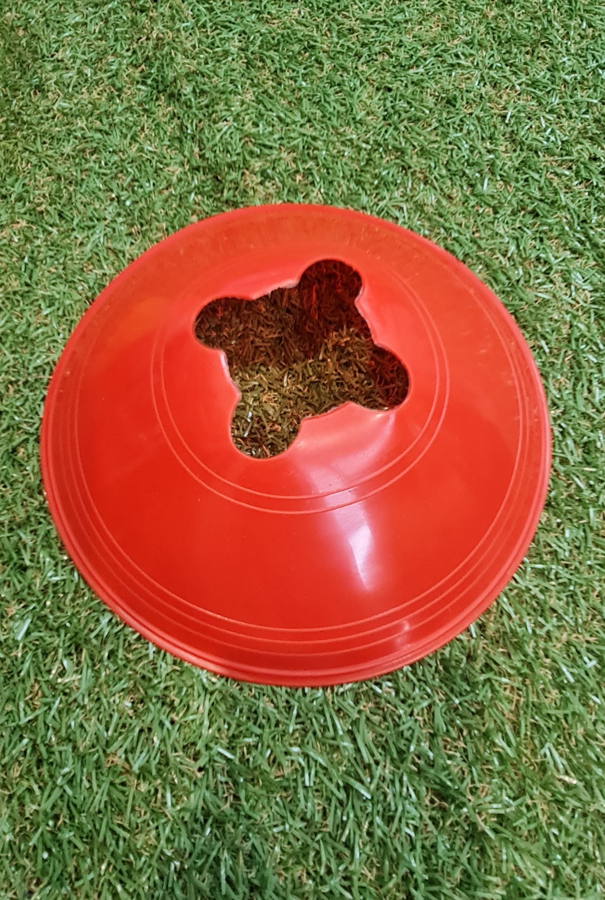 CUT TOP SAUCER CONE - PACK OF 10 - SportsHQ