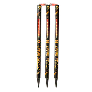 SS GLORY LED STUMPS AND BAILS SET - SportsHQ