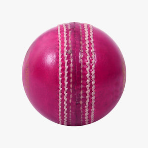 DSC Red Dot Leather Cricket Ball – 4 Piece – 156gm – Pink - SportsHQ